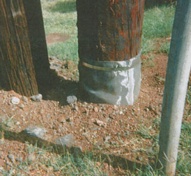 A Polesock installed at the base of a wood pole